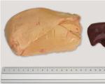Le foie de canard gavé à gauche (500g) et le foie de canard normal à droite (75g)